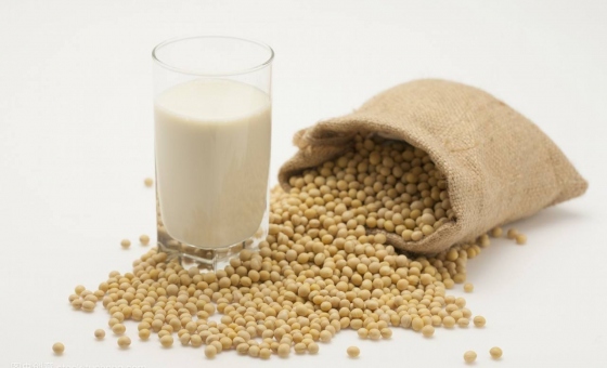 凯时|AG(Asia Gaming)优质运营商